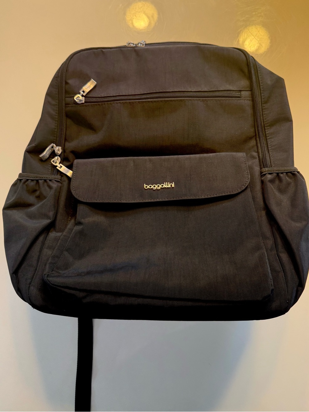 Baggallini Black Everyday Travel Backpack